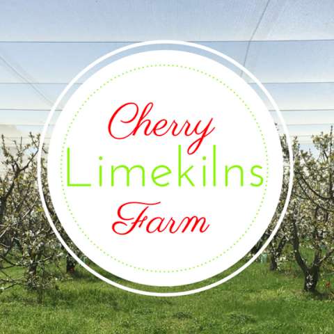 Photo: Limekilns Cherry Farm